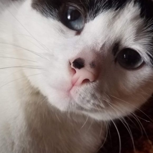 Meet your Posher, Sally - Picture 4 of 14